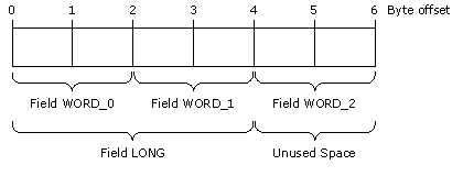Memory Map of Structure WORDS_LONG