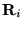${\bf R}_{i}$