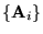 $\{{\bf A}_i\}$