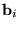 ${\bf b}_i$